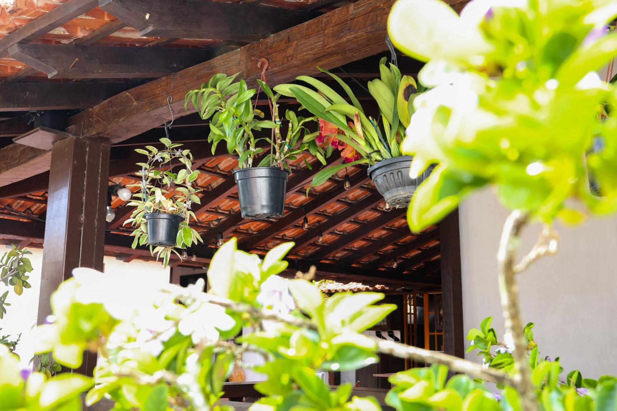 Casajomo Boutique Stays & Retreats — Photos 2